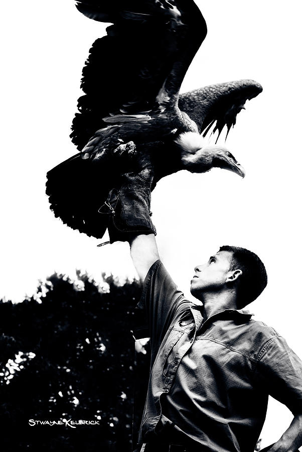 Covid19 Photograph - King of vultures by Stwayne Keubrick Covid19 Photograph - King of vultures by Stwayne Keubrick