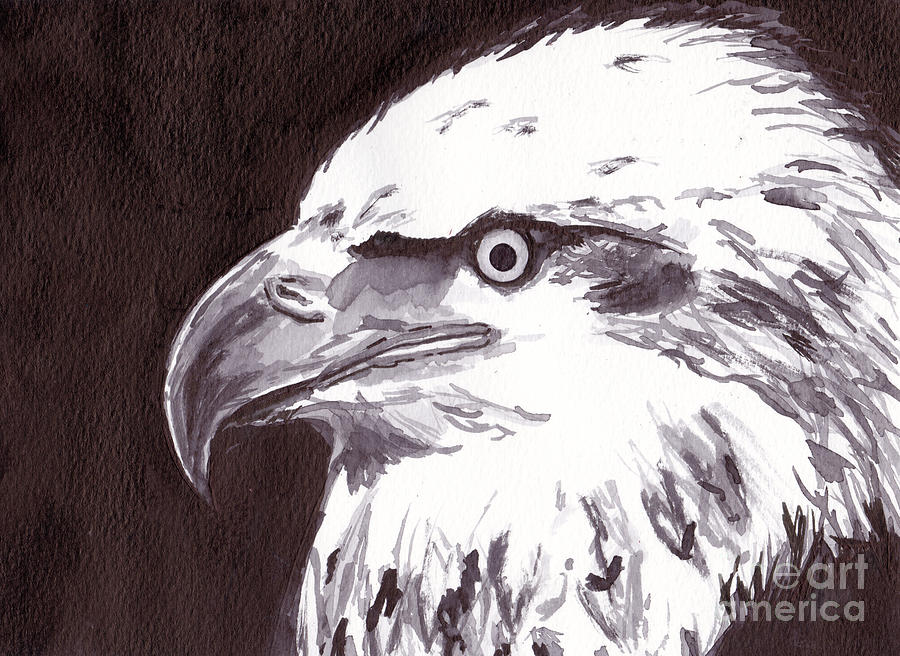 Wildlife Painting - Eagle by Michael Rados Wildlife Painting - Eagle by Michael Rados
