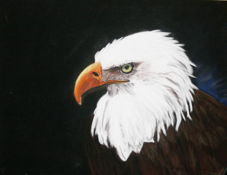 Eagle Pastel by Michele Turney