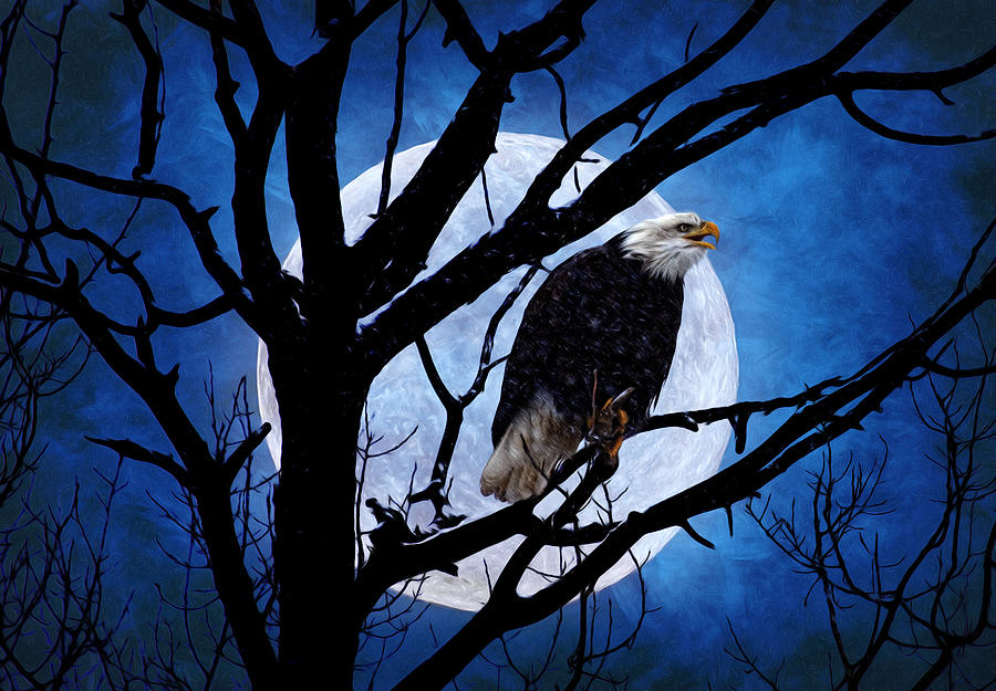 Eagle Night Photograph by Gary Smith