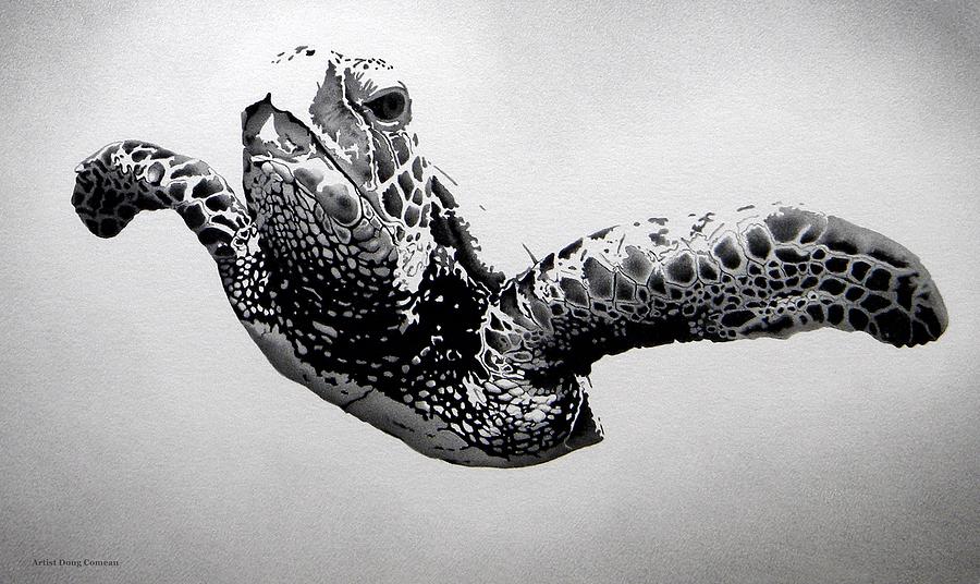 Turtle Drawing - Eagle of the Deep by Stirring Images