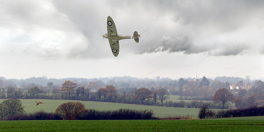 Eagle over England Photograph by Gary Eason