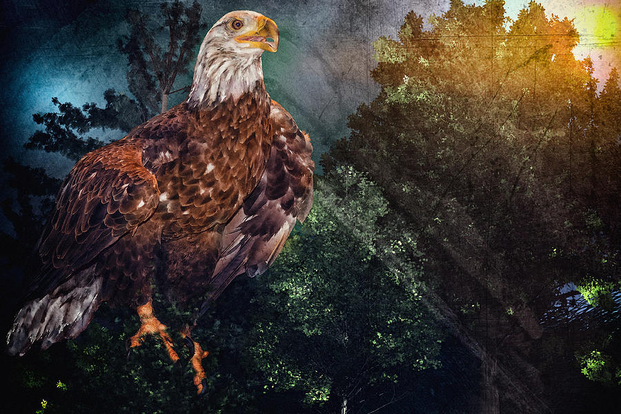 Eagle Overlay Digital Art by Mary Almond