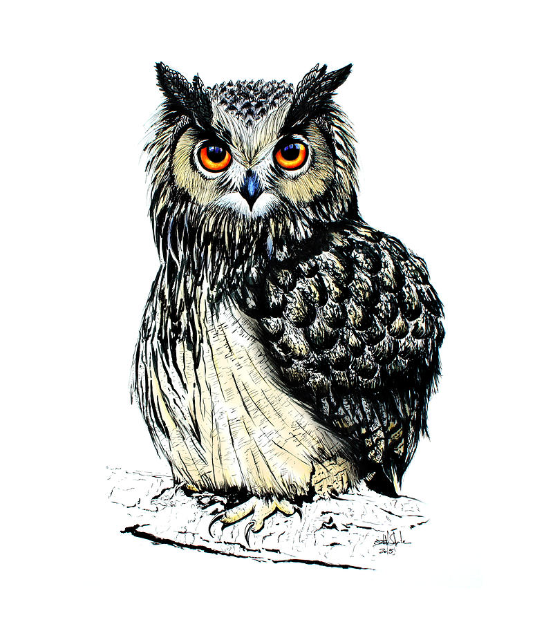 Eagle Owl Painting by Isabel Salvador