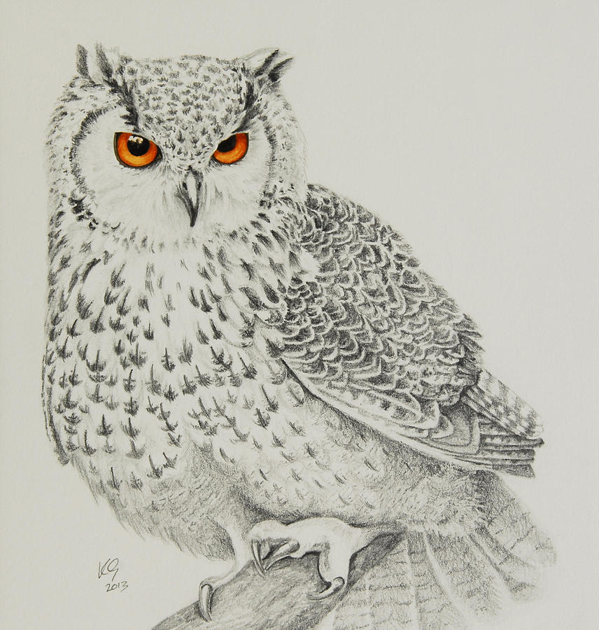 Eagle Owl Drawing by Katharine Green