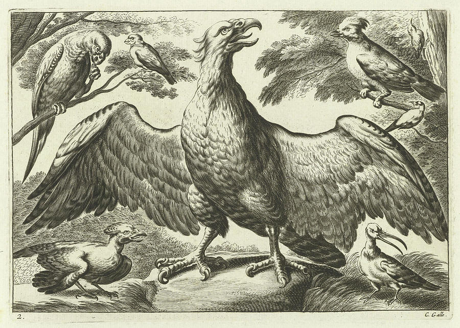 Francis Barlow Drawing - Eagle, Pieter Van Lisebetten, Wenceslaus Hollar by Pieter Van Lisebetten And Wenceslaus Hollar And Francis Barlow