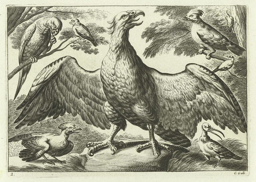 Francis Barlow Drawing - Eagle, Pieter Van Lisebetten, Wenceslaus Hollar by Quint Lox