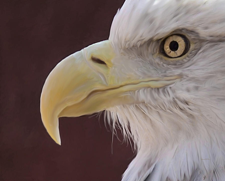 Bird Digital Art - Eagle Portrait Freehand by Ernest Echols