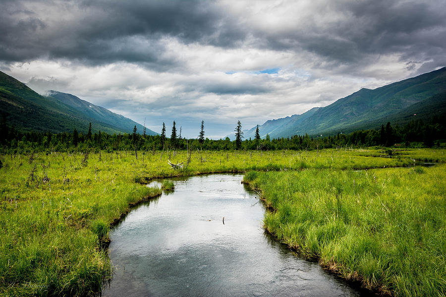 Eagle River Nature Center Photograph by Andrew Matwijec