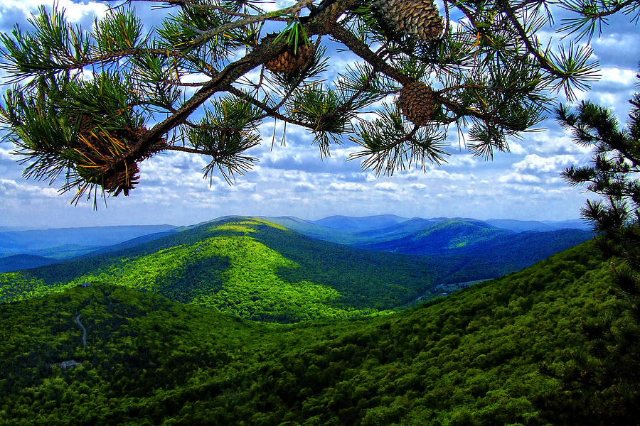 Eagle Rock overlook Photograph by Mark Dottle