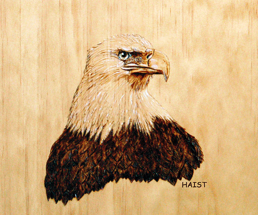 Eagle Pyrography by Ron Haist
