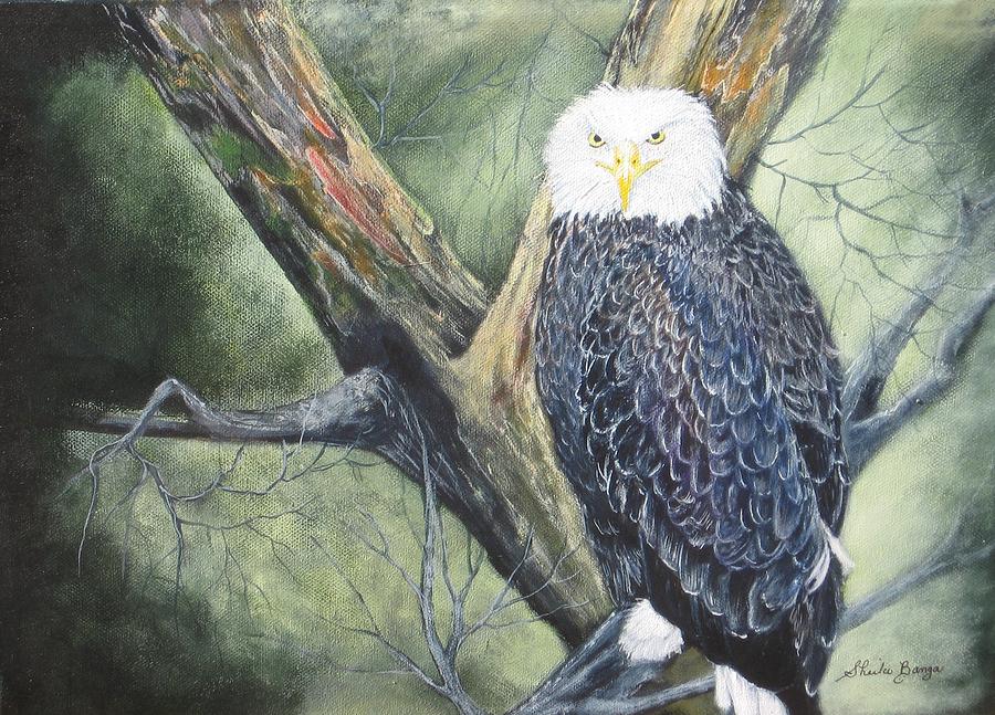 Eagle Painting by Sheila Banga