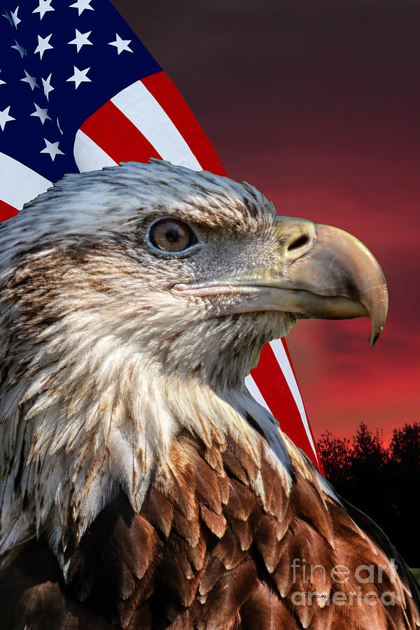 Eagle Photograph - Eagle With American Flag by Thomas Woolworth