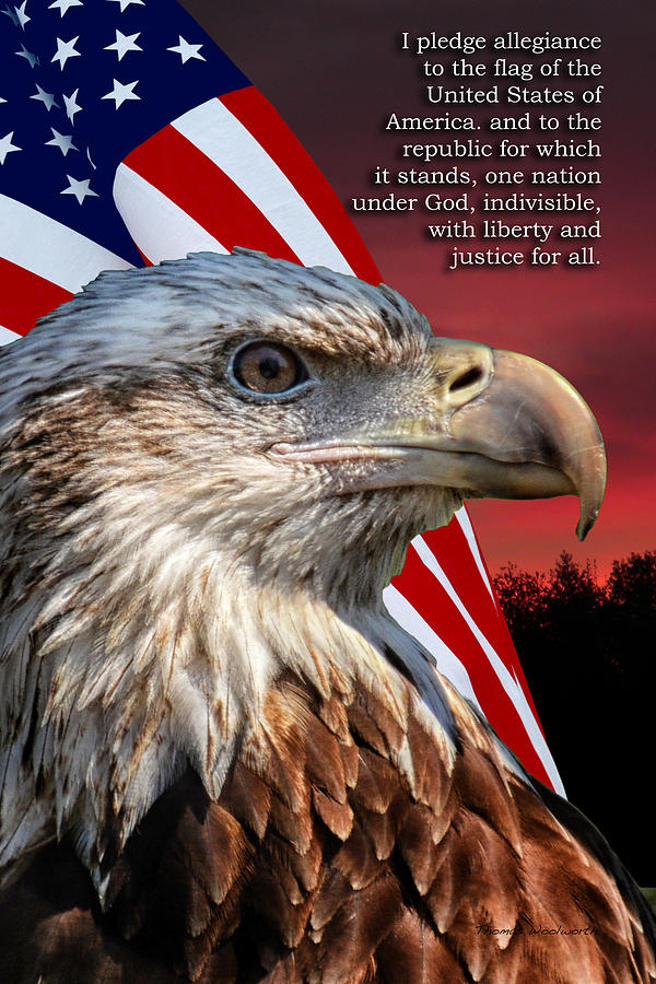 Eagle Photograph - Eagle With Pledge Allegiance by Thomas Woolworth