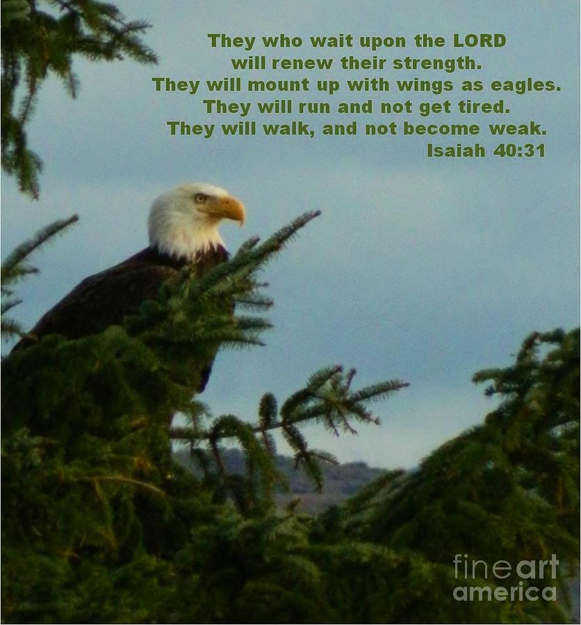 Eagle with verse Photograph by Gallery Of Hope 