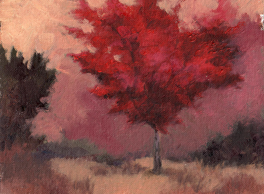 Tree Painting - Eaglemount Maple by Robert Amaral
