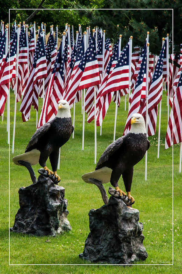 Eagles and Flags on Memorial Day Photograph by Mick Anderson