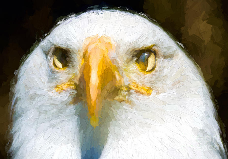 Eagles Eyes - painterly Photograph by Les Palenik