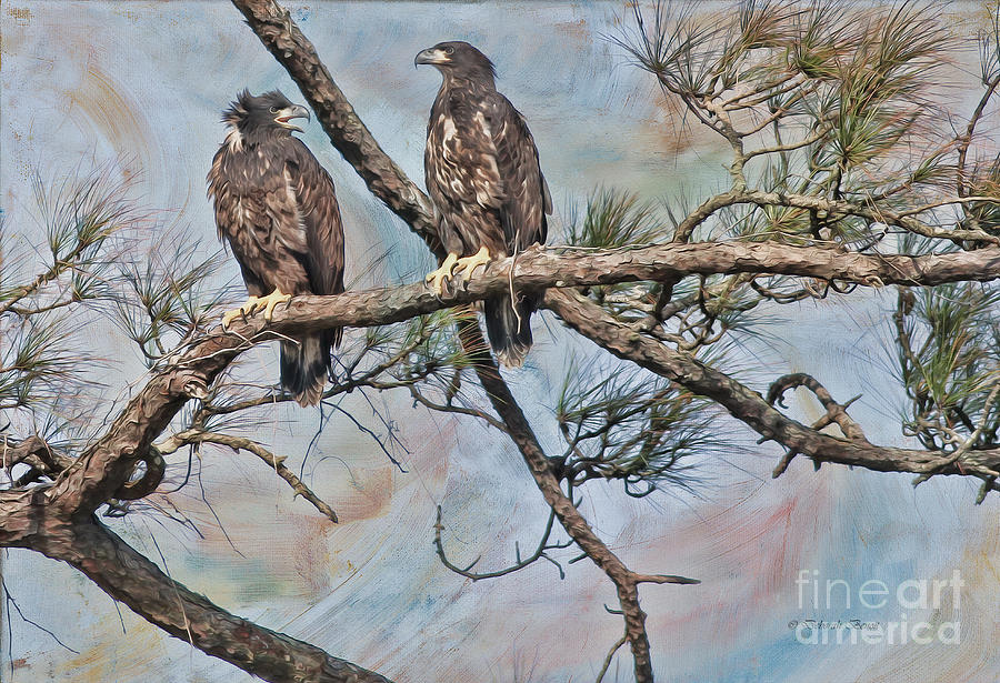 Eaglets in Oil Photograph by Deborah Benoit