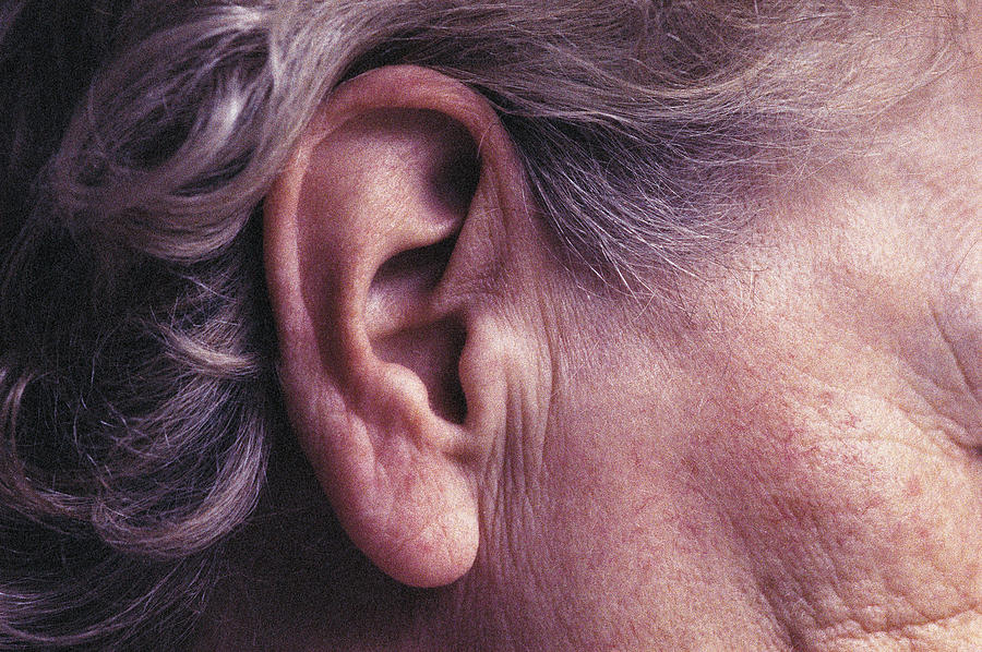Ear Photograph by Image Source