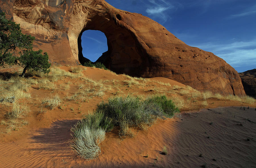 Ear Of The Wind Arch Photograph by Dave Mills