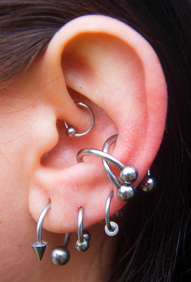 Ear Piercings and body jewelry Photograph by Tristan Savatier