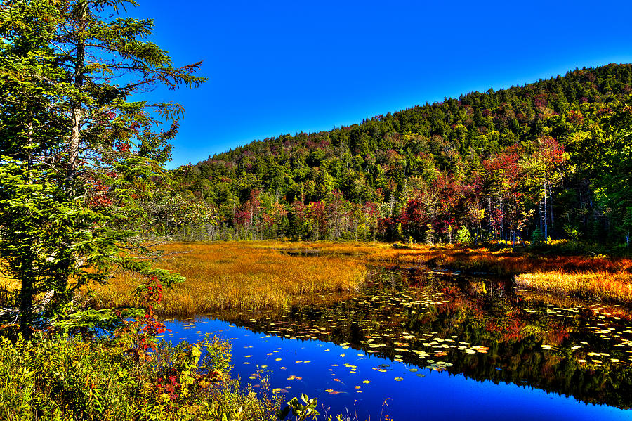 Early Autumn at Cary Lake Photograph by David Patterson