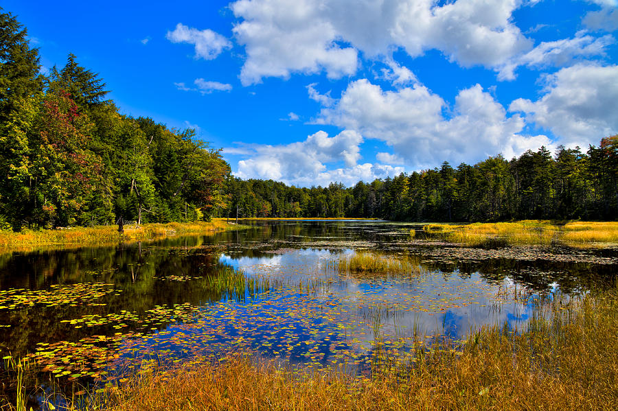 Early Autumn at Fly Pond - Old Forge New York Photograph by David Patterson