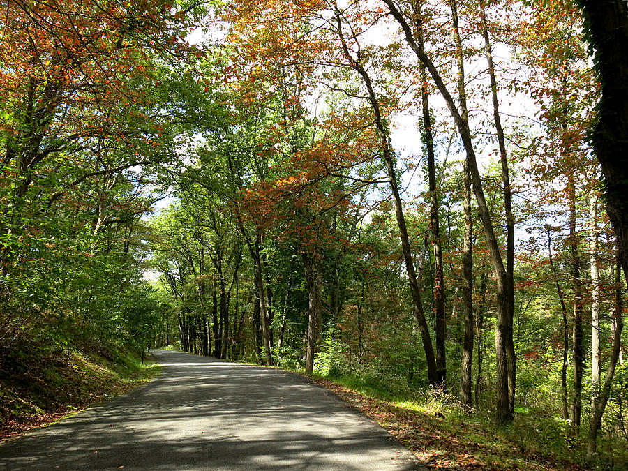 Early Autumn Drive Photograph by Jean Macaluso