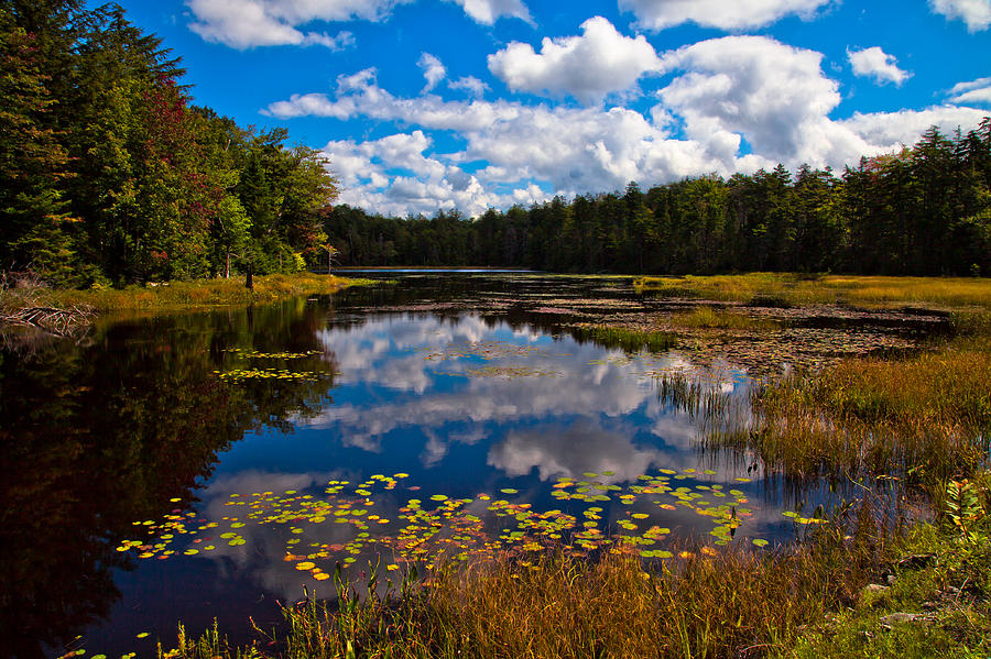 Early Autumn on Fly Pond Photograph by David Patterson
