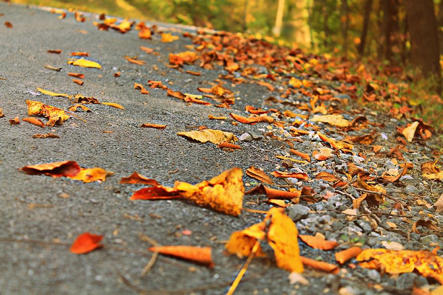 Autumn Photograph - Early Autumn Road by Candice Trimble Autumn Photograph - Early Autumn Road by Candice Trimble