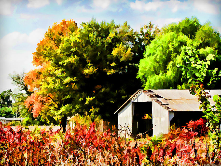 Nature Photograph - Early Autumn Tractor Shed  Digital paint by Debbie Portwood
