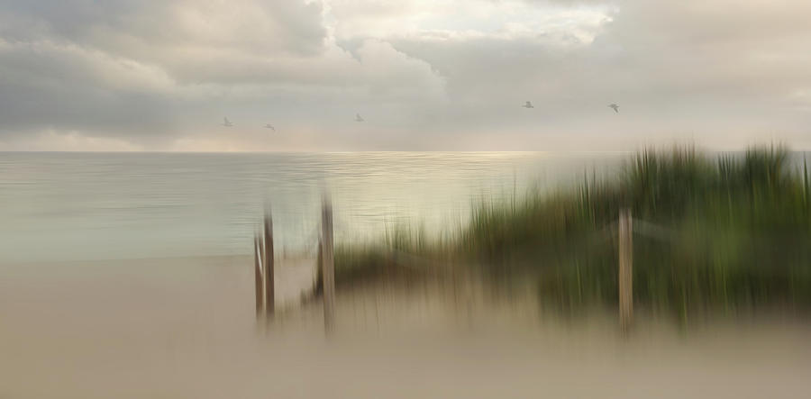 Beach Photograph - Early Bird by Heidi Westum