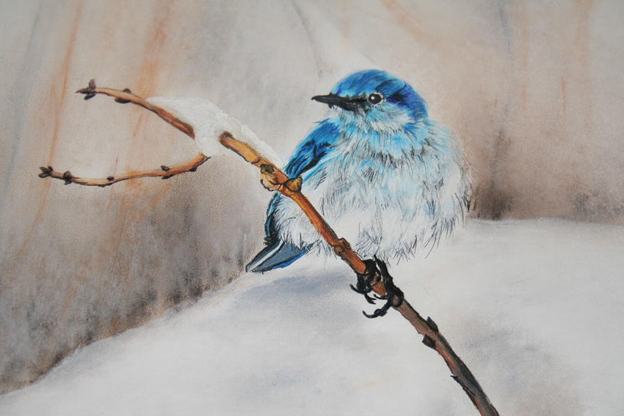 Early Bird Drawing by Linda Sole Fine Art America