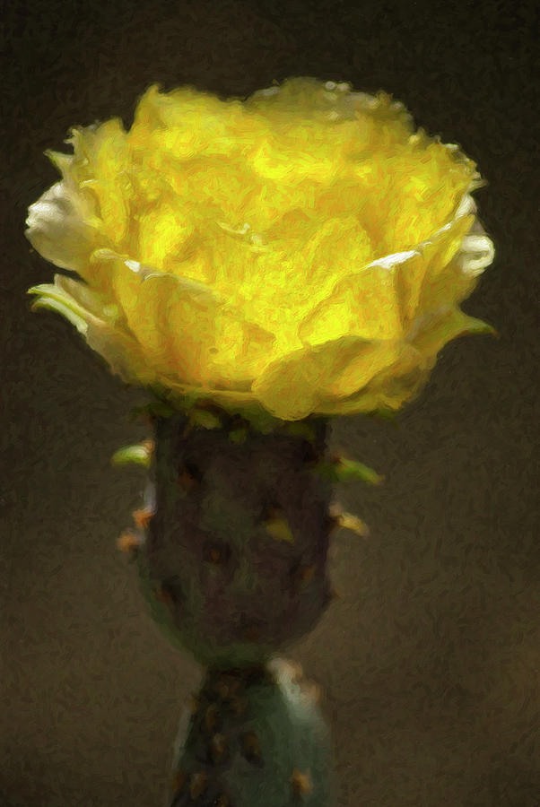Flowers Still Life Digital Art - Early Bloomer by Sandra Selle Rodriguez