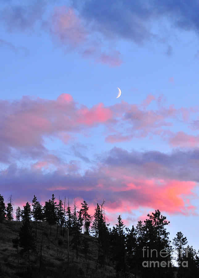 Early Evening Moon Photograph By Angela Maher