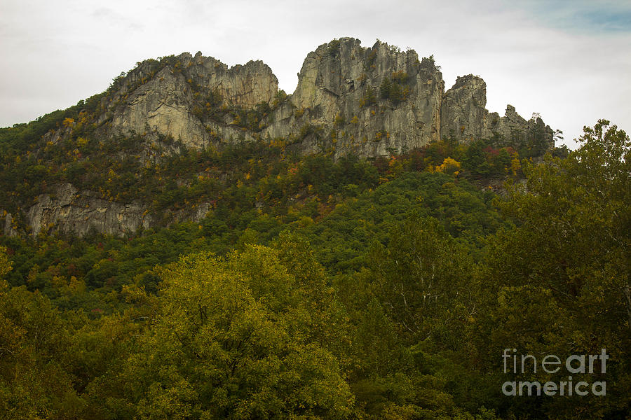 Nature Photograph - Early Fall At Seneca Rocks WV by Howard Tenke