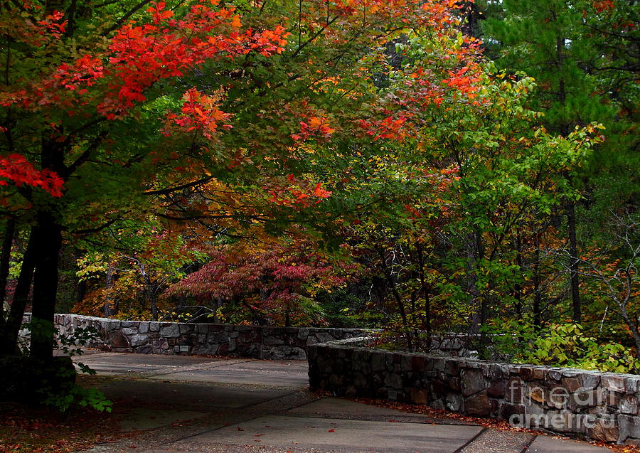 Early Fall At Talimena Park Photograph by Robert Frederick