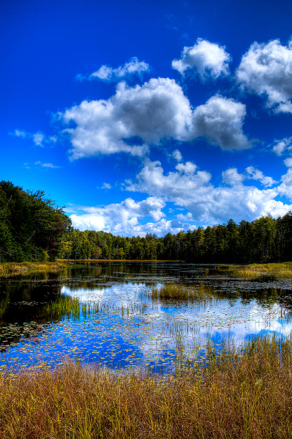 Early Fall Color on Fly Pond - Old Forge New York Photograph by David Patterson