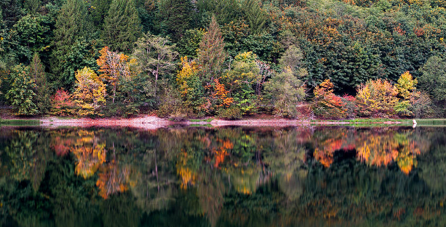 Early Fall Colour at Silver Lake Photograph by Michael Russell