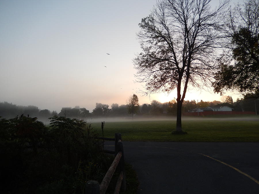 Early Fall Morning Photograph by Betty-Anne McDonald