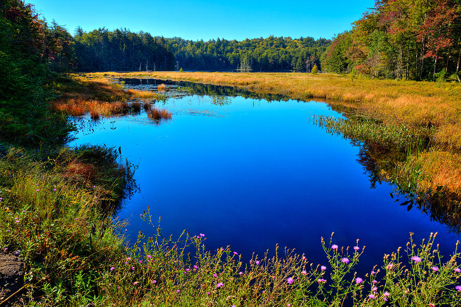 Early Fall on Cary Lake Photograph by David Patterson