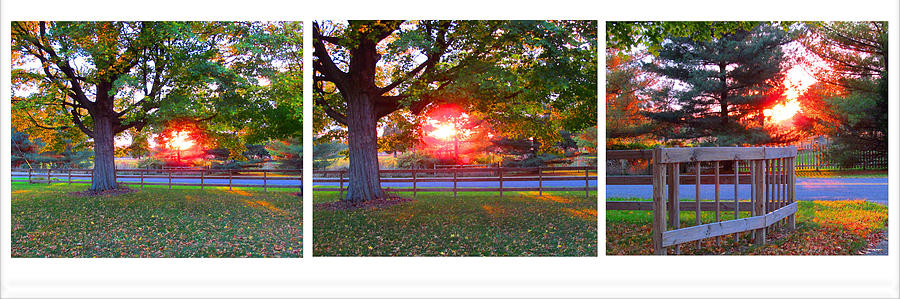 Sunset Photograph - Early Fall Sunset 2014 by Tina M Wenger