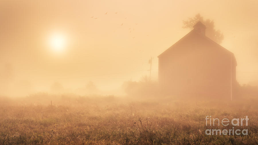 Early foggy morning on the farm Photograph by Edward Fielding