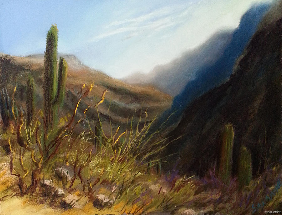 Early Hike Tucson Pastel by Brenda Salamone
