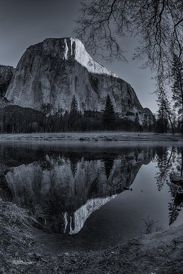 Early Light on El Capitan Photograph by Bill Roberts