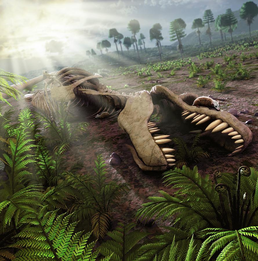 Early Mammals Hiding In T-rex Carcass Photograph by Mark Garlick