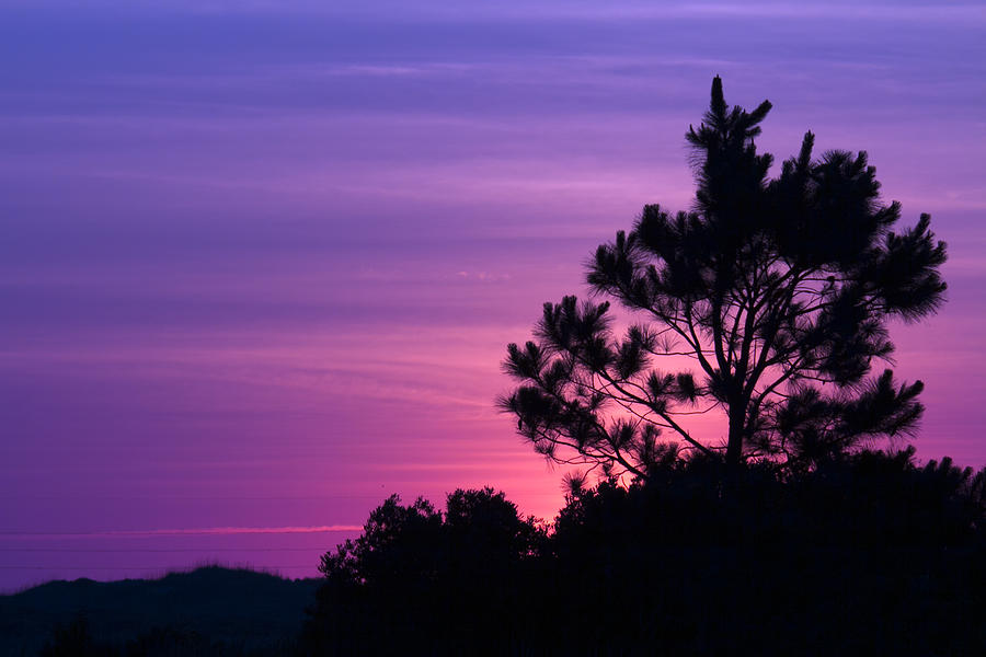 Sunrise Photograph - Early Morning Atlantic Coast by Jim Baker