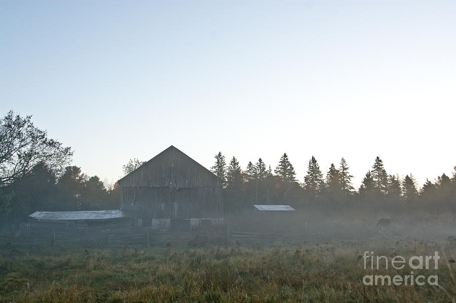 Early Morning Barn Scene Photograph by Cheryl Baxter
