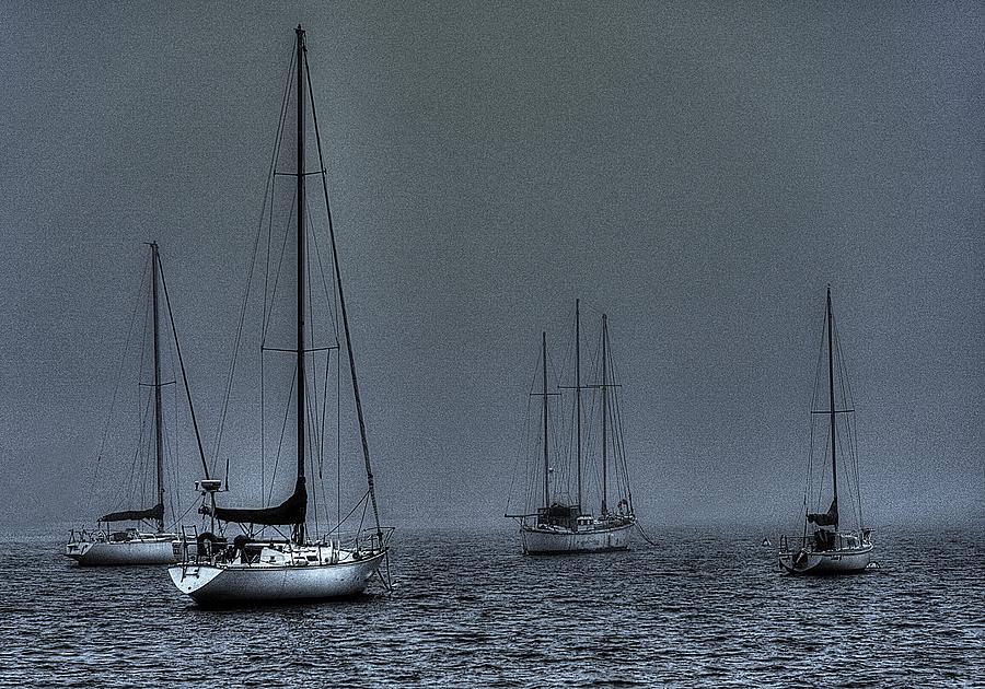 Early Morning Boats On The Bay Photograph
